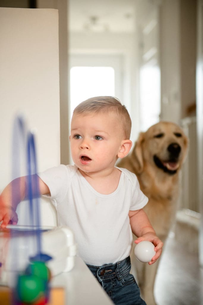 Bedfordshire Family Photographer