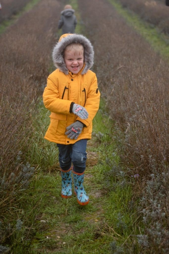 Family Photographer The Lavender Fields Hitchin