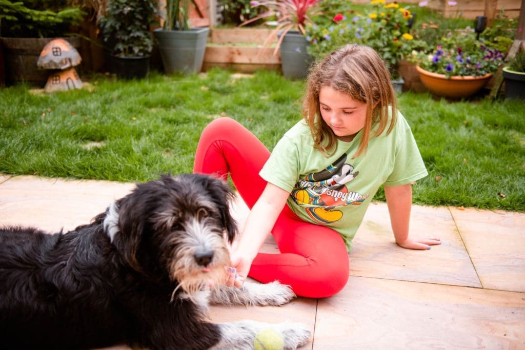 Families portfolio - a little girl and her black and white scruff dog sit on the patio in their garden