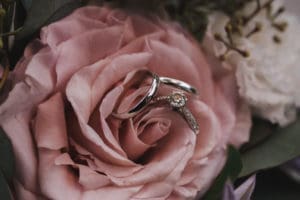 Wedding rings in roses